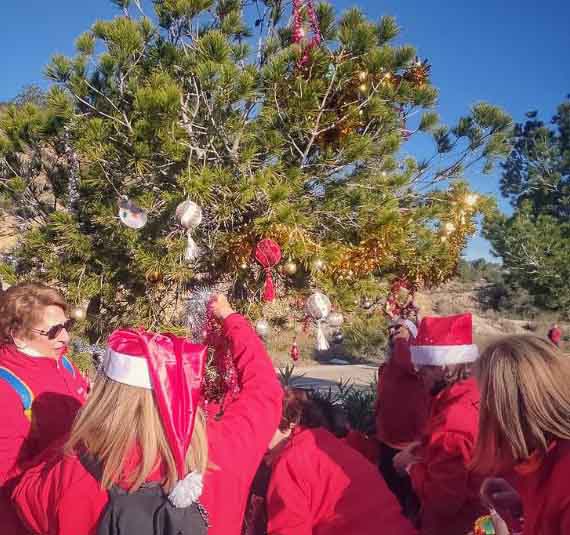 Ruta de decoración del árbol