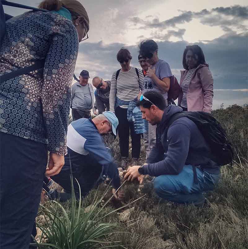 Jornada de reforestación de la montaña de Cullera