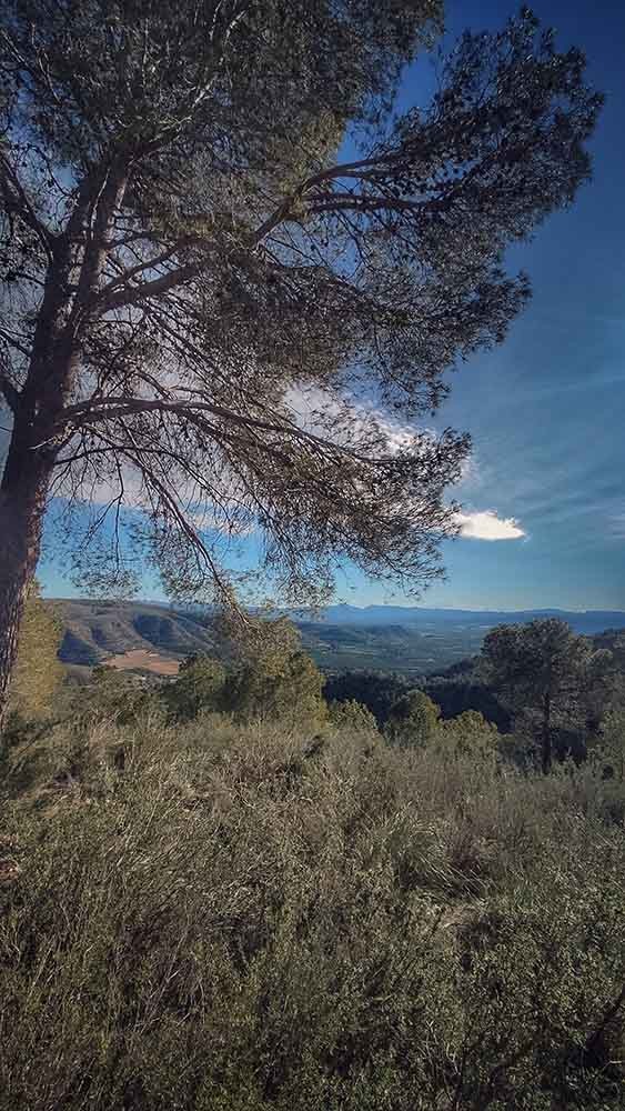 Sumacàrcer. Assut de l'Escalona y Puntal del Morico