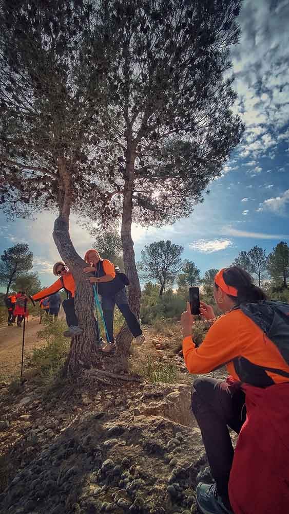 Sumacàrcer. Assut de l'Escalona y Puntal del Morico