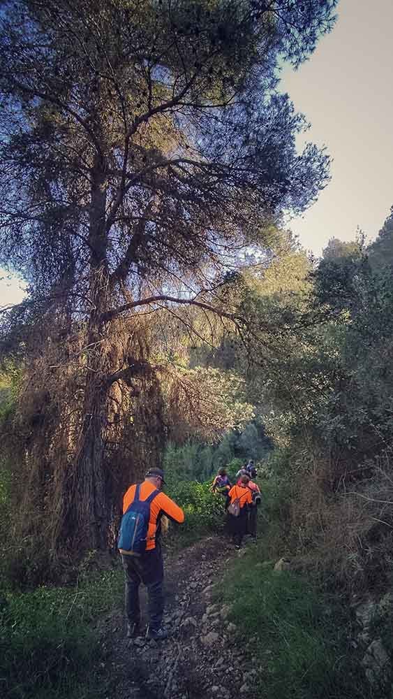 Sumacàrcer. Assut de l'Escalona y Puntal del Morico