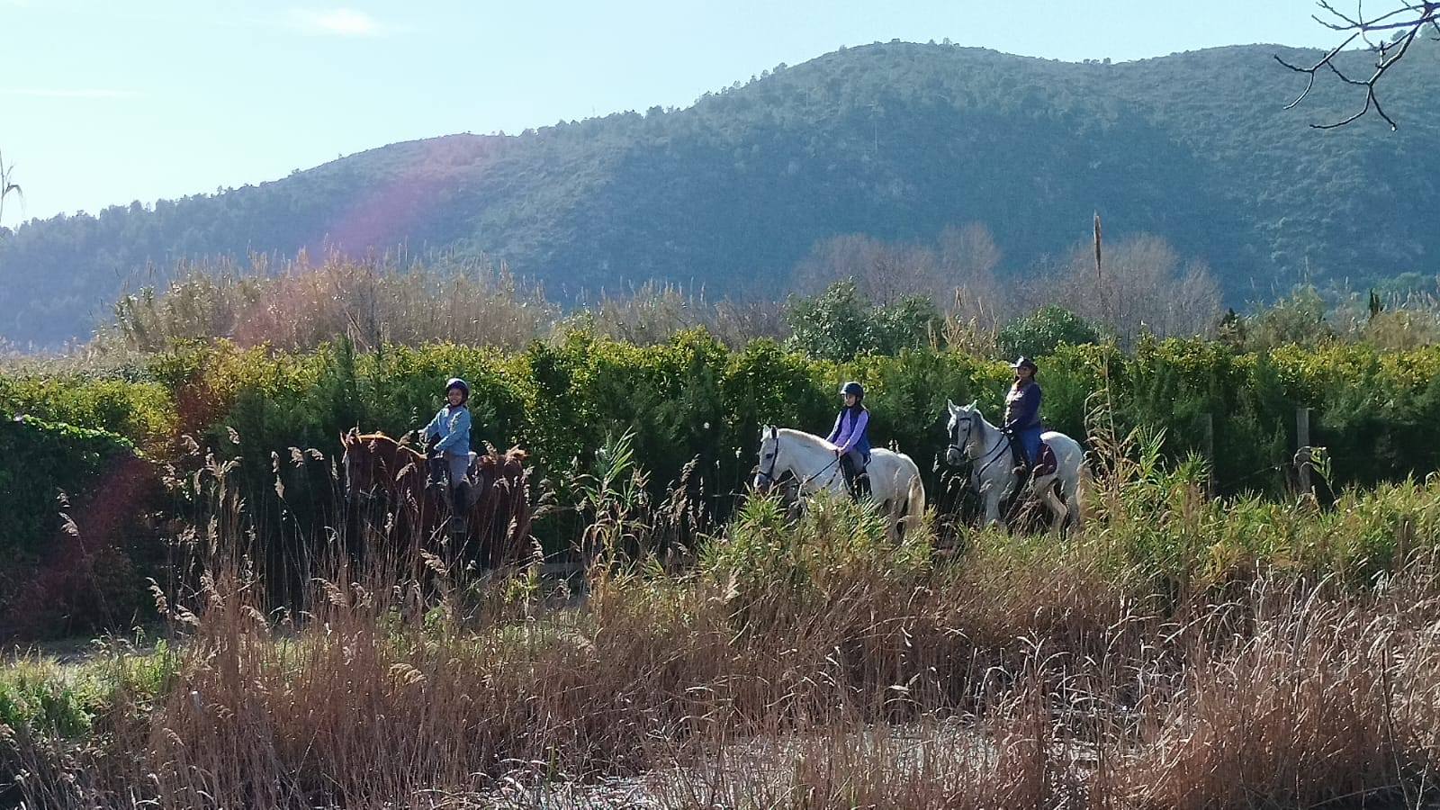 Xeraco. l'Ullal Fosc