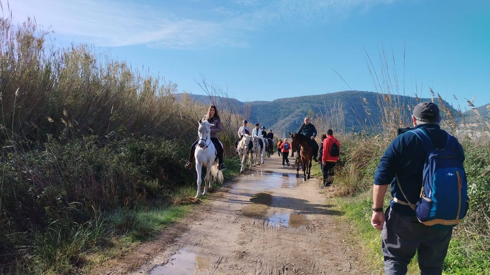 Xeraco. l'Ullal Fosc