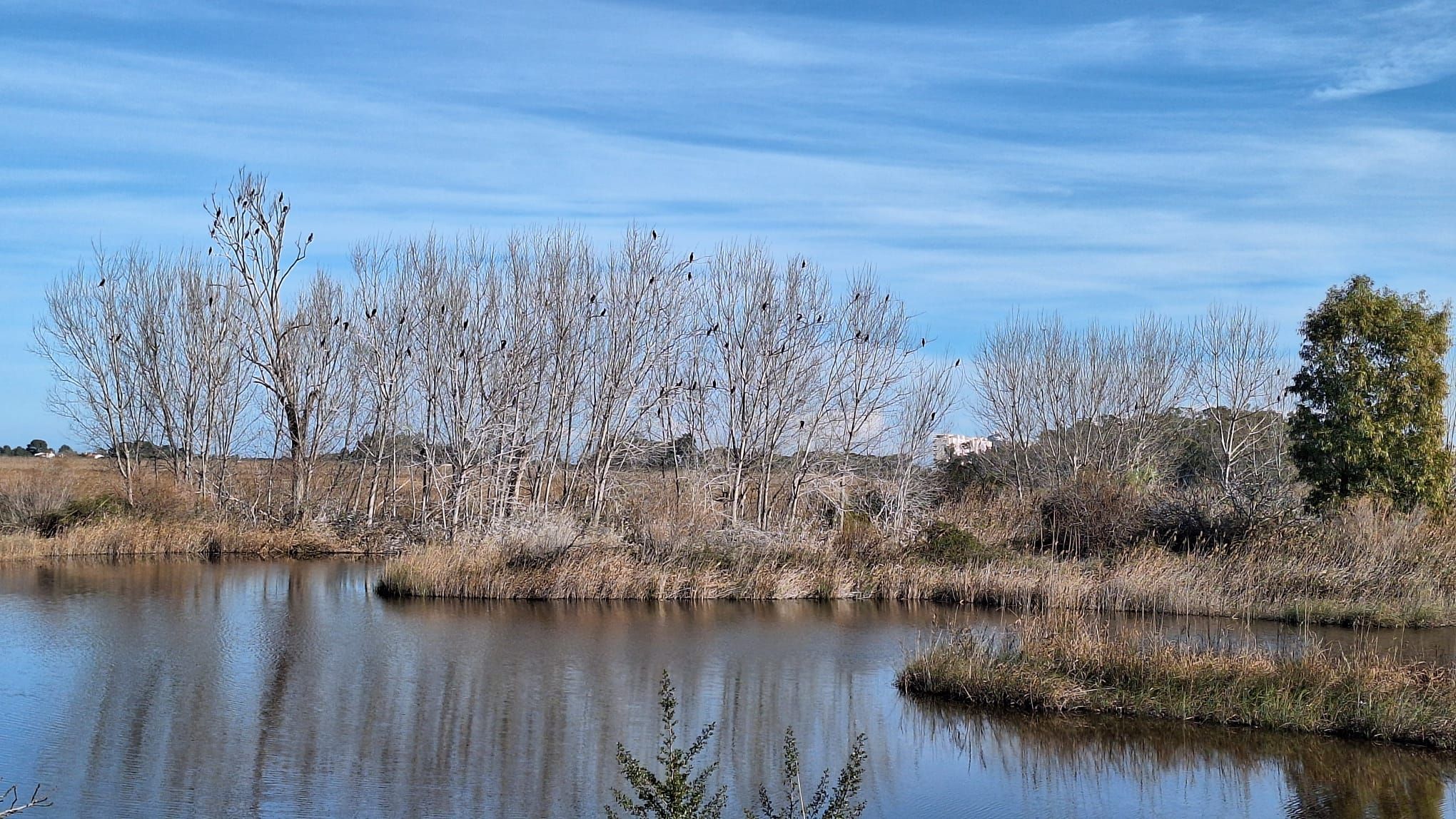 Xeraco. l'Ullal Fosc