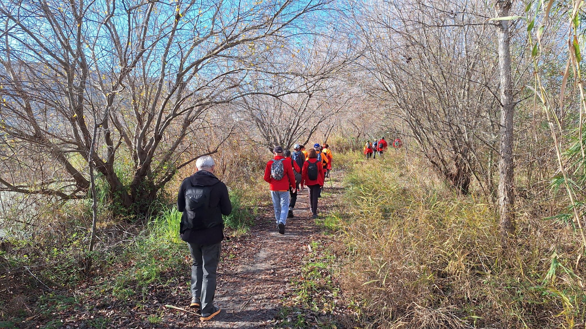 Xeraco. l'Ullal Fosc