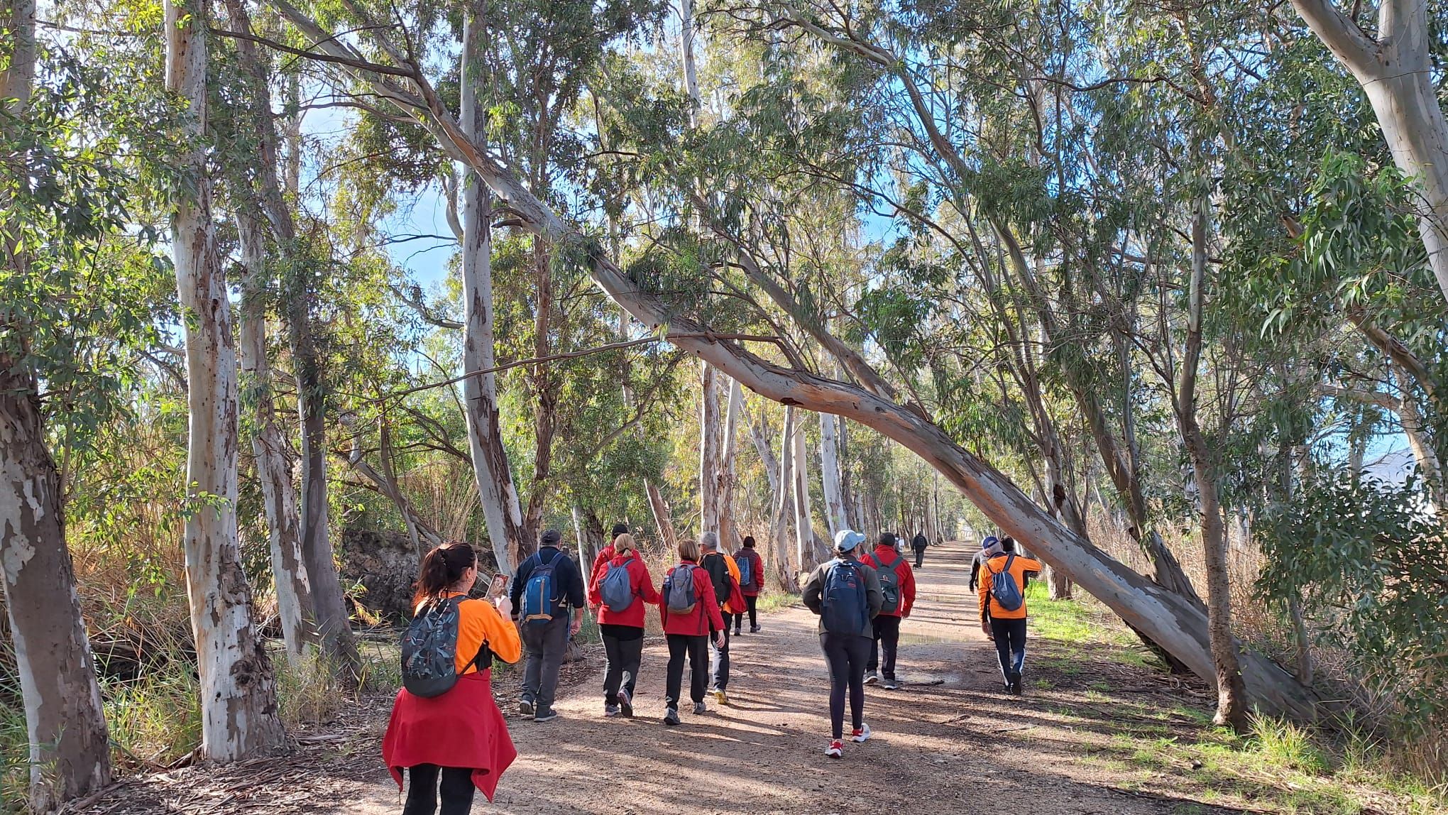 Xeraco. l'Ullal Fosc