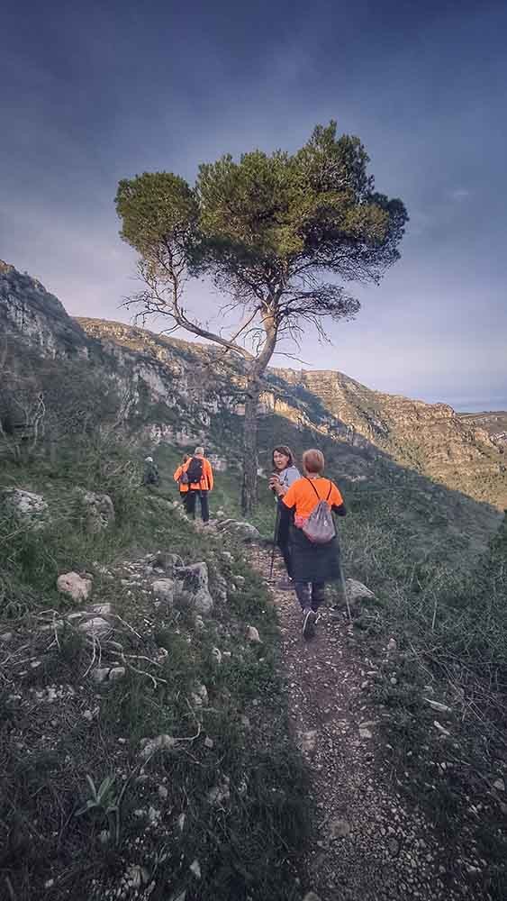 Tavernes. Font de la Granata