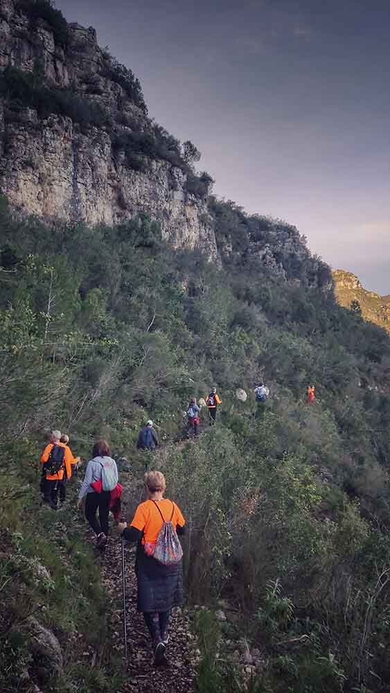 Tavernes. Font de la Granata