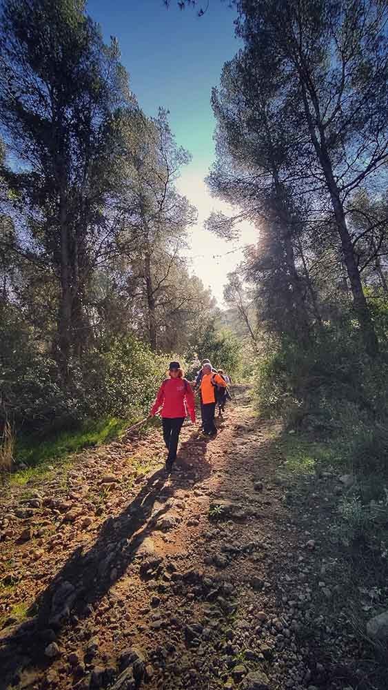 Tavernes. Font de la Granata