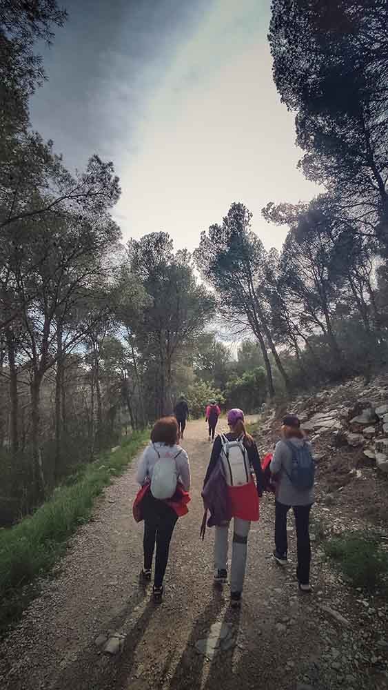 Tavernes. Font de la Granata