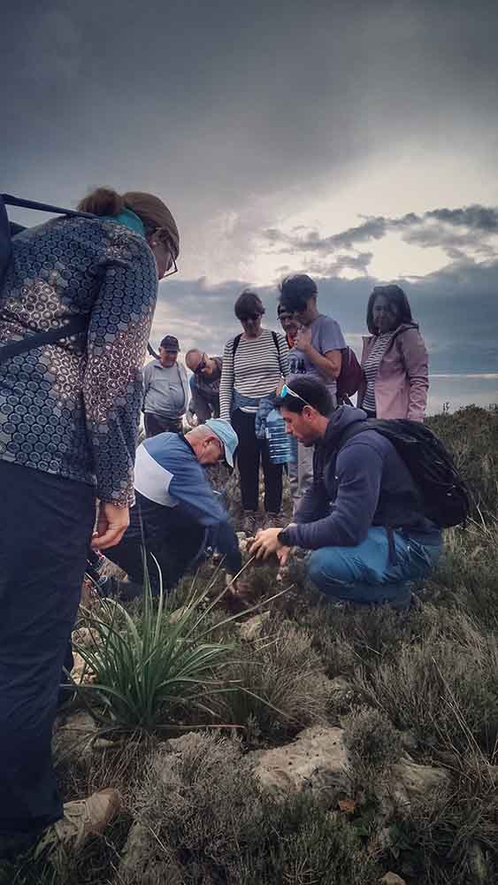 Reforestación montaña de Cullera