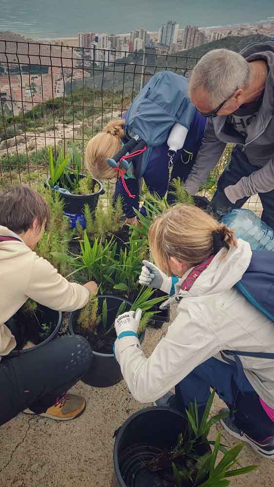 Reforestación montaña de Cullera