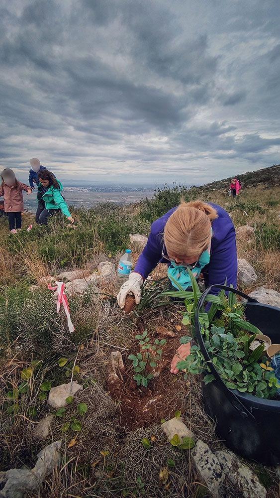 Reforestación montaña de Cullera