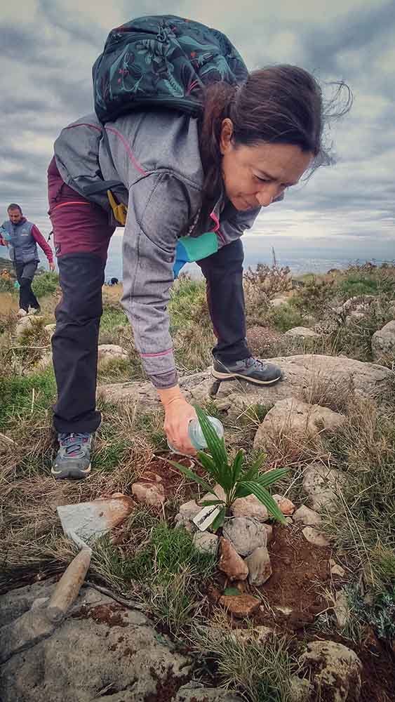 Reforestación montaña de Cullera
