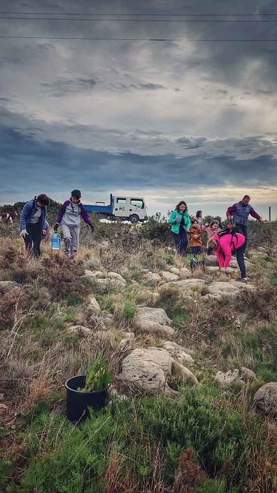 Reforestación montaña de Cullera