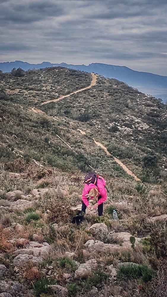 Reforestación montaña de Cullera