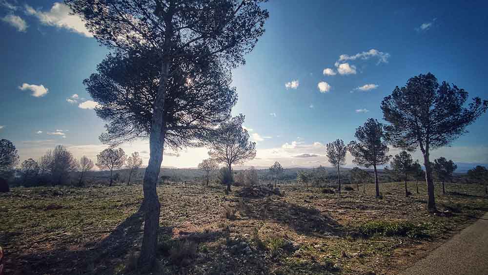 Tous. Cuevas del Tortero y el Candil