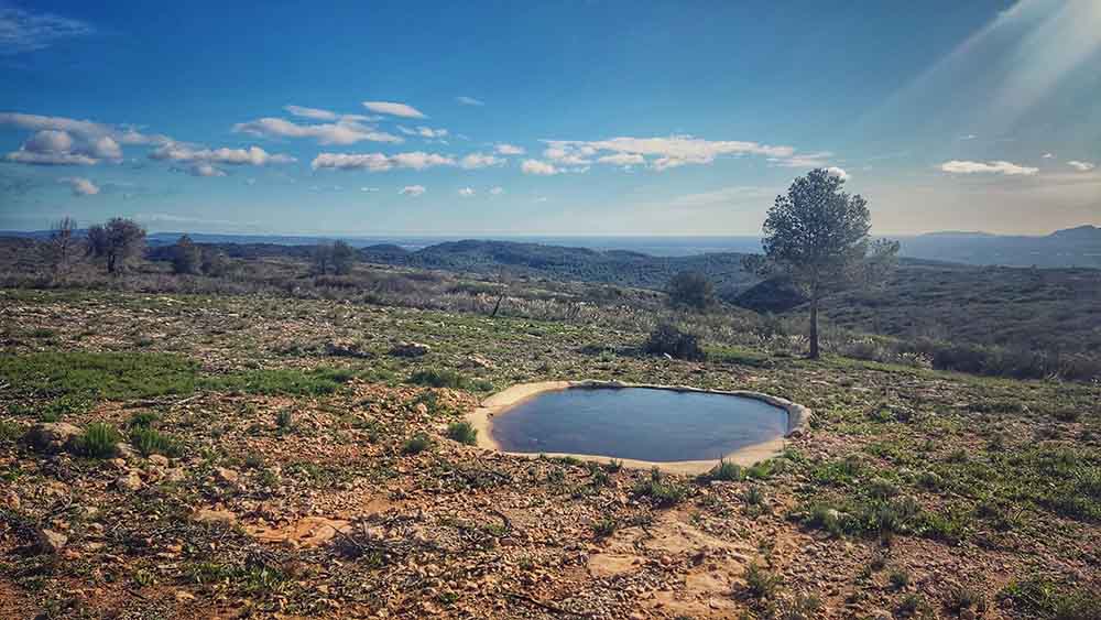 Tous. Cuevas del Tortero y el Candil