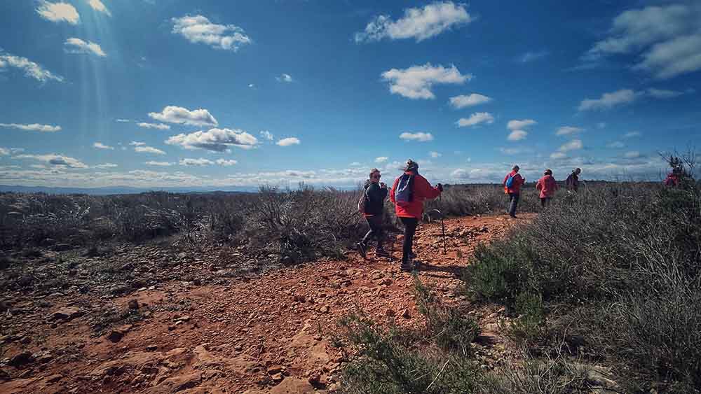 Tous. Cuevas del Tortero y el Candil
