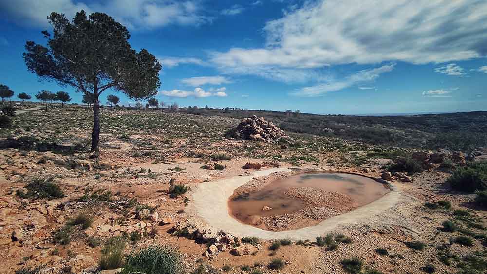 Tous. Cuevas del Tortero y el Candil