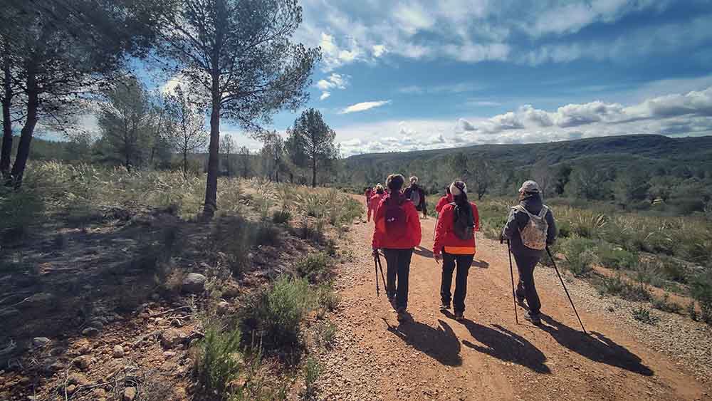 Tous. Cuevas del Tortero y el Candil
