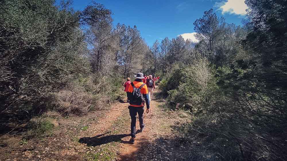 Tous. Cuevas del Tortero y el Candil