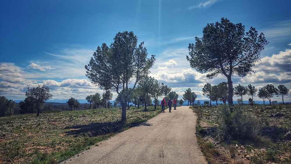 Tous. Cuevas del Tortero y el Candil