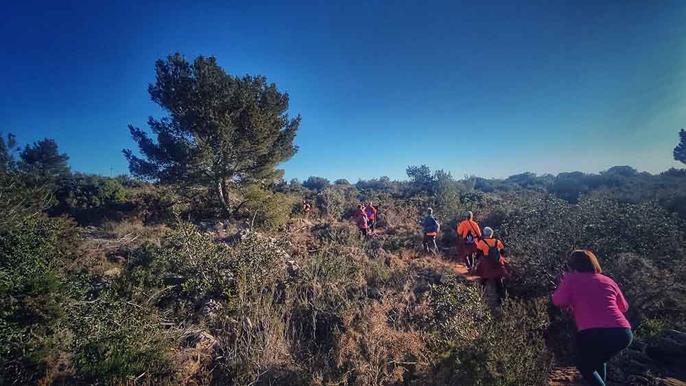 Beniopa. Castell de Bairén