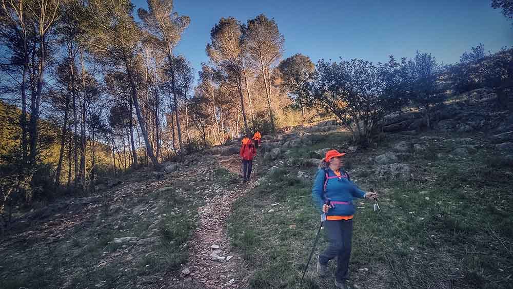 Beniopa. Castell de Bairén