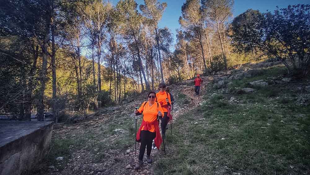 Beniopa. Castell de Bairén