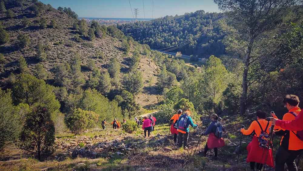 Beniopa. Castell de Bairén