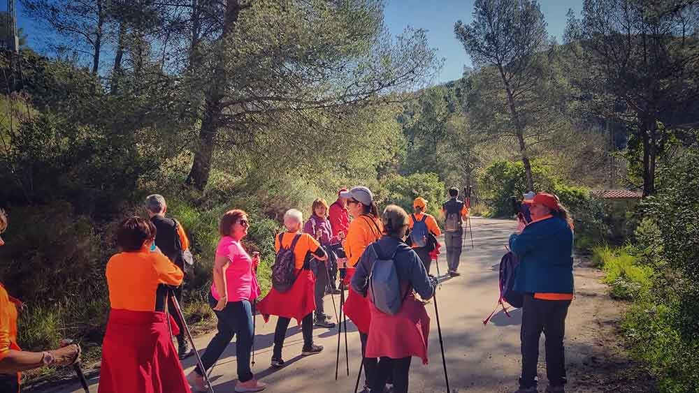Beniopa. Castell de Bairén