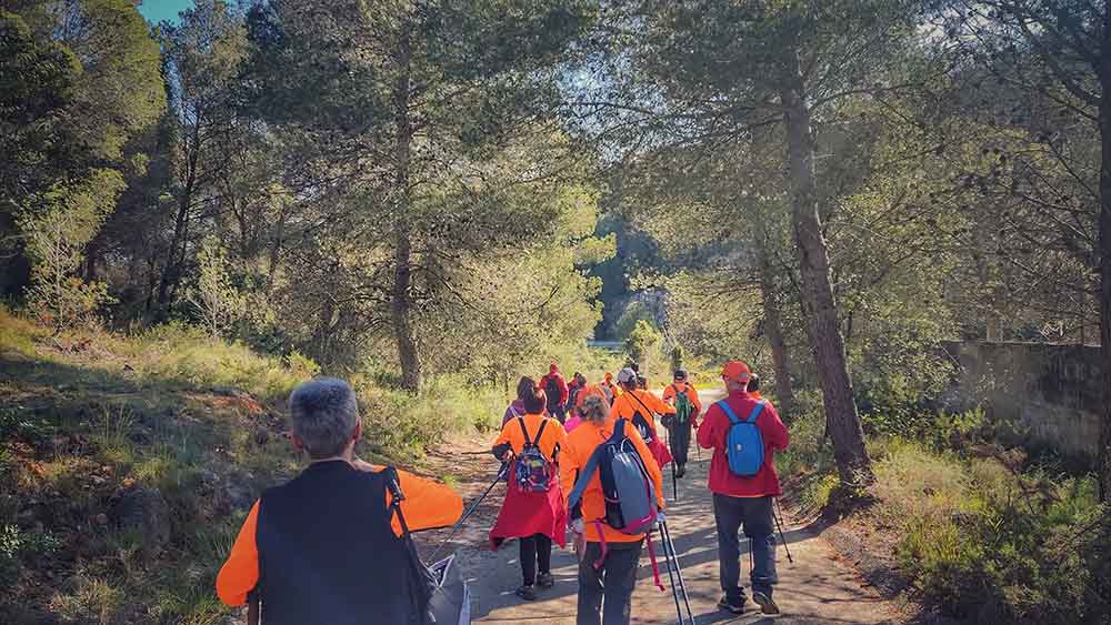 Beniopa. Castell de Bairén