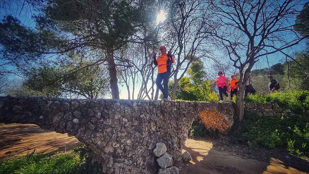 Beniopa. Castell de Bairén