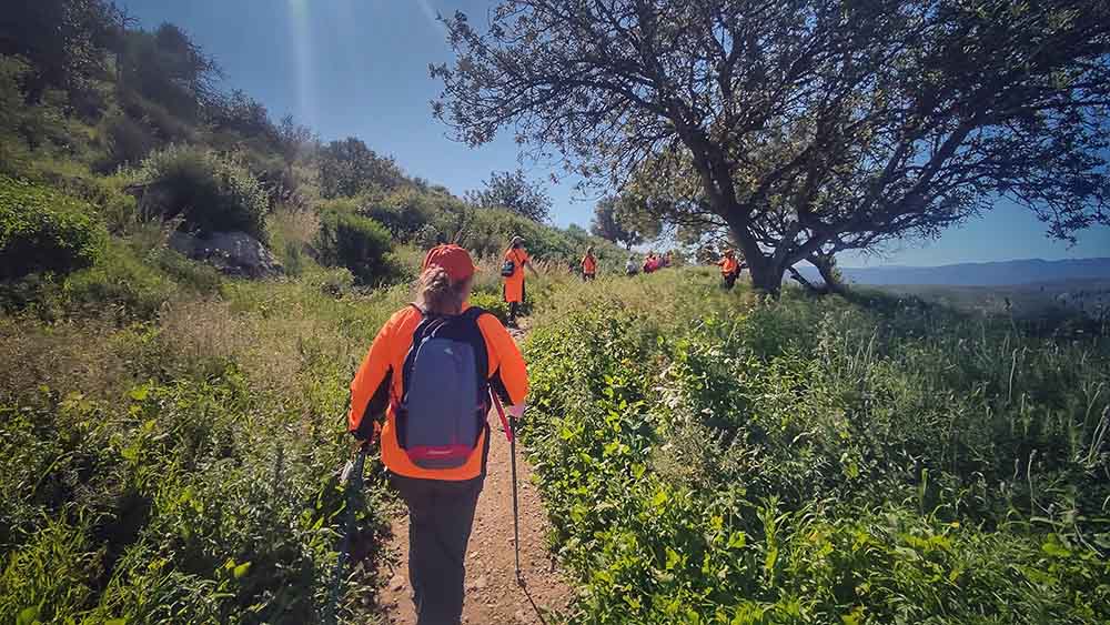 Beniopa. Castell de Bairén
