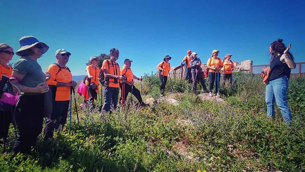 Beniopa. Castell de Bairén