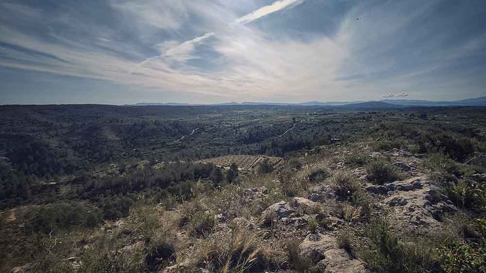 Chorradores de Navarrés