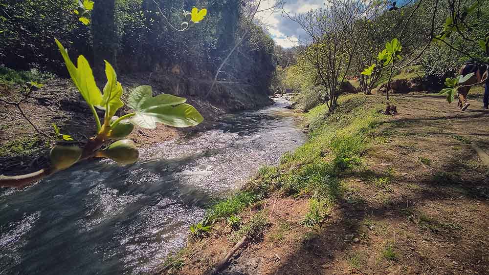 Chorradores de Navarrés
