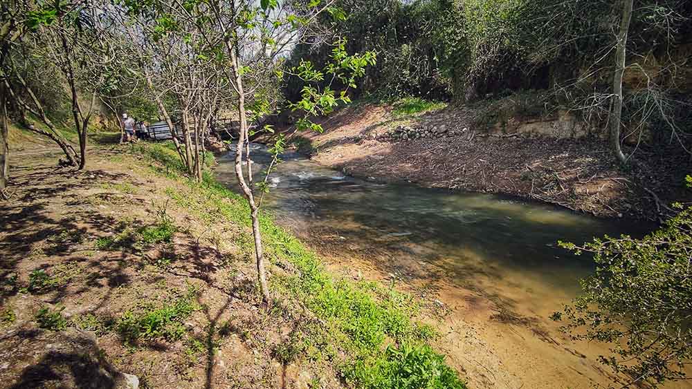 Chorradores de Navarrés