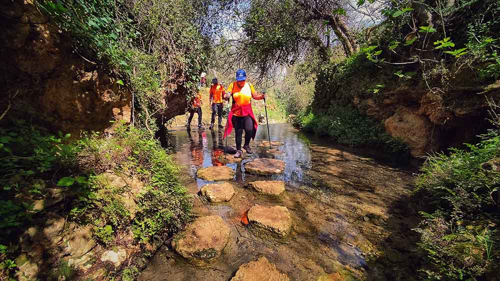 Chorradores de Navarrés