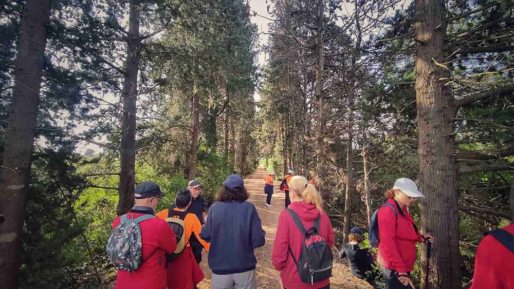 El Realenc de Carcaixent
