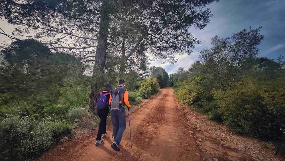 El Realenc de Carcaixent