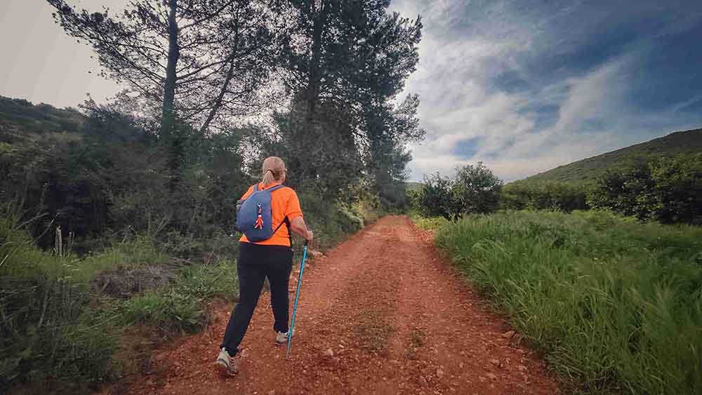 El Realenc de Carcaixent