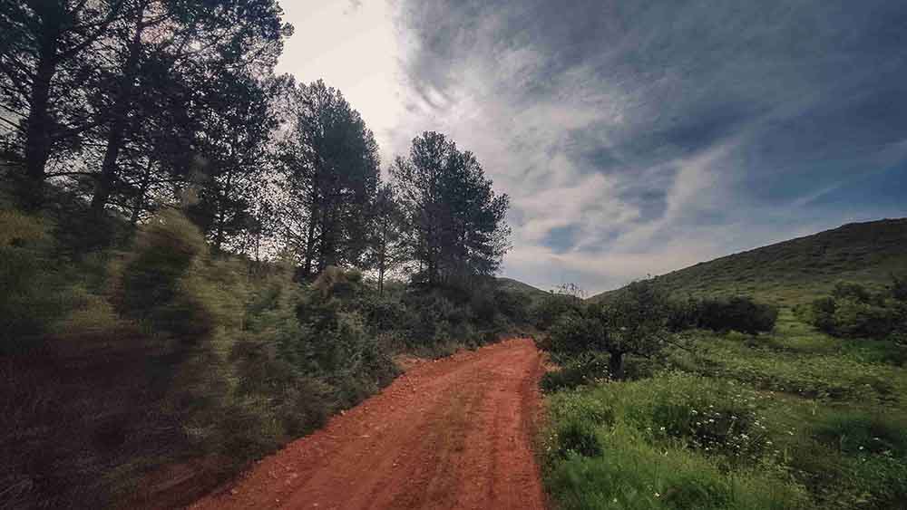El Realenc de Carcaixent