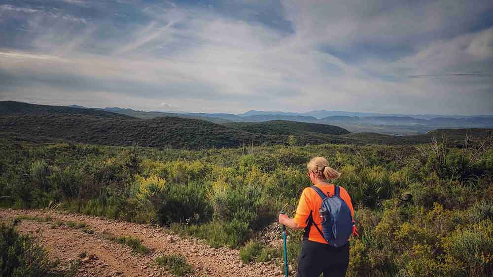 El Realenc de Carcaixent