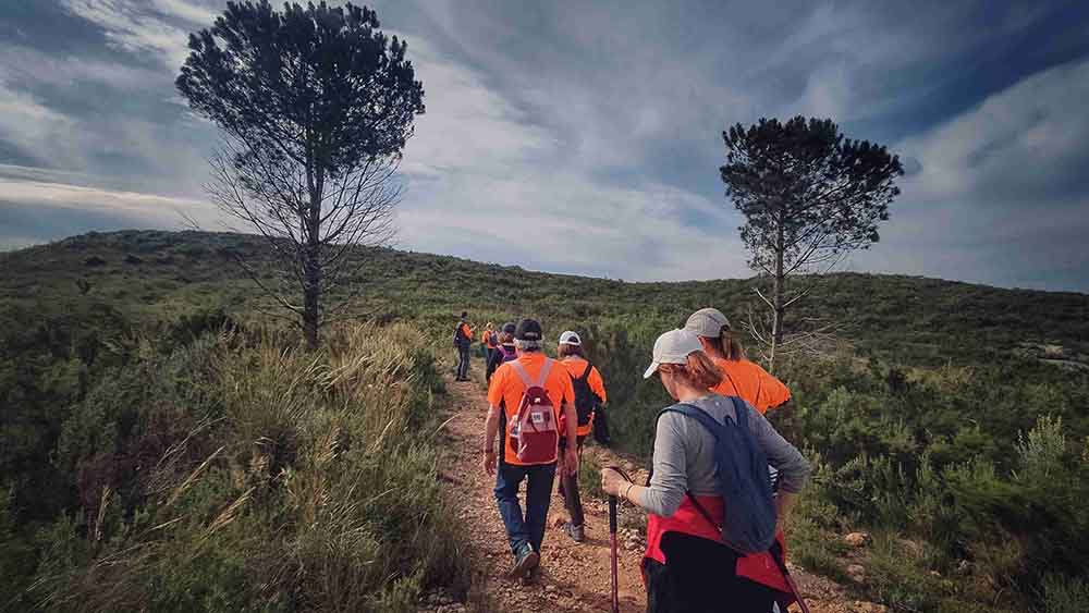 El Realenc de Carcaixent
