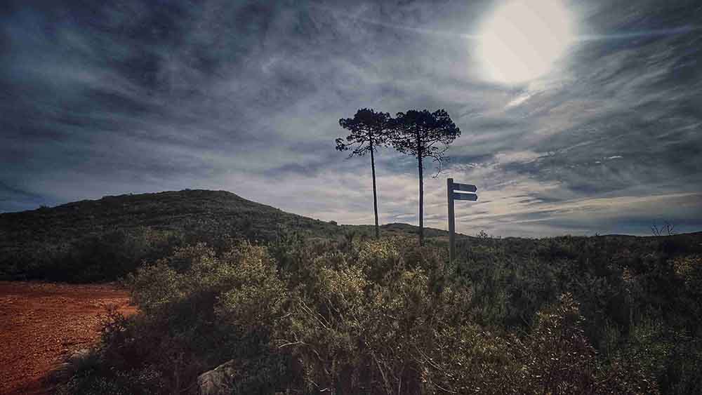 El Realenc de Carcaixent