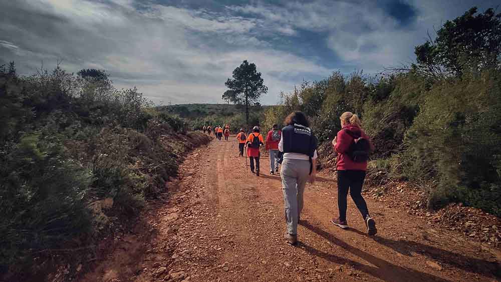 El Realenc de Carcaixent