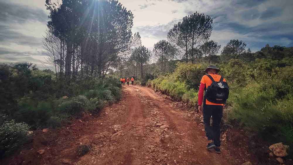 El Realenc de Carcaixent
