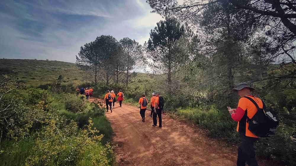 El Realenc de Carcaixent